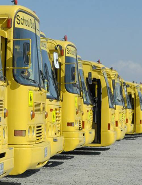 school-buses